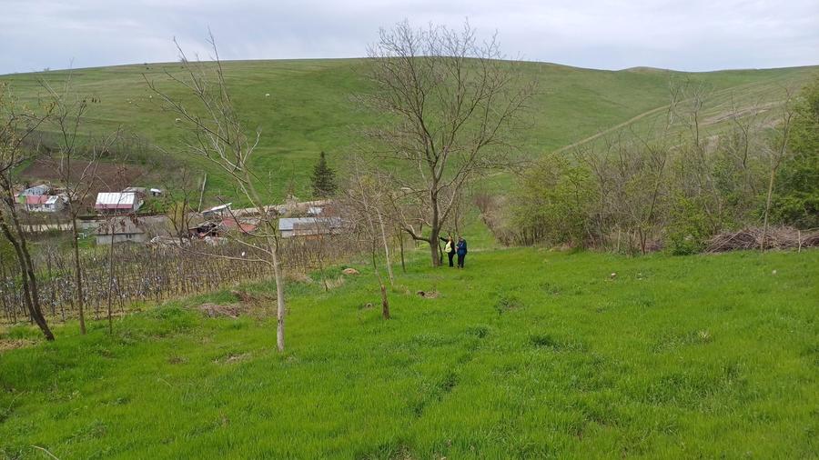 Casa cu teren 1 hectar in sat Roscani, la 40 km de Iasi. - 1