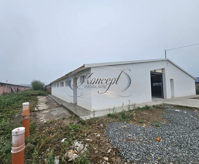 Hala la prima inchiriere, izolata termic, disponibila imediat in Jucu de Mijloc