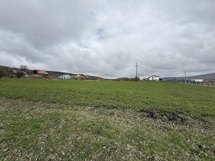 Vand teren Valea Chintaului Mun Cluj Napoca - 4