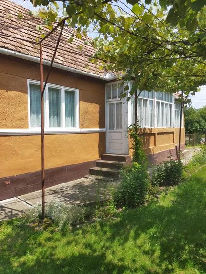 Vand casa Ru?ii Munti - 2