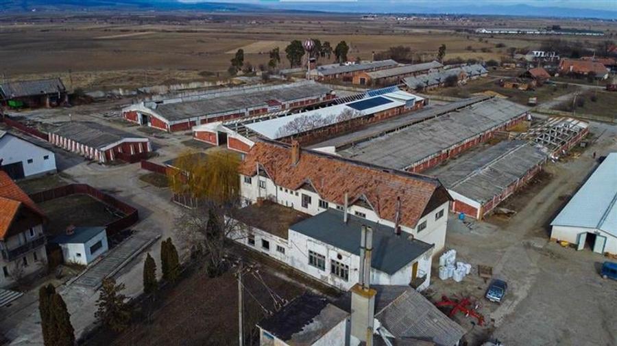 Ansamblu agrozootehnic cu renume,dotat +valoare exceptionala+potential versatil, - 37