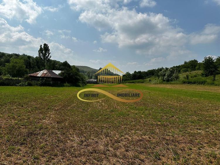 Casa batraneasca cu 2ha de teren de vanzare in sat Balaia / Bacau - 15