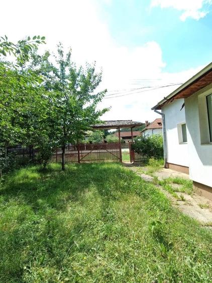 Balilesti - Stradal, casa spatioasa, 4600 mp teren intravilan - curte spatioasa - 5