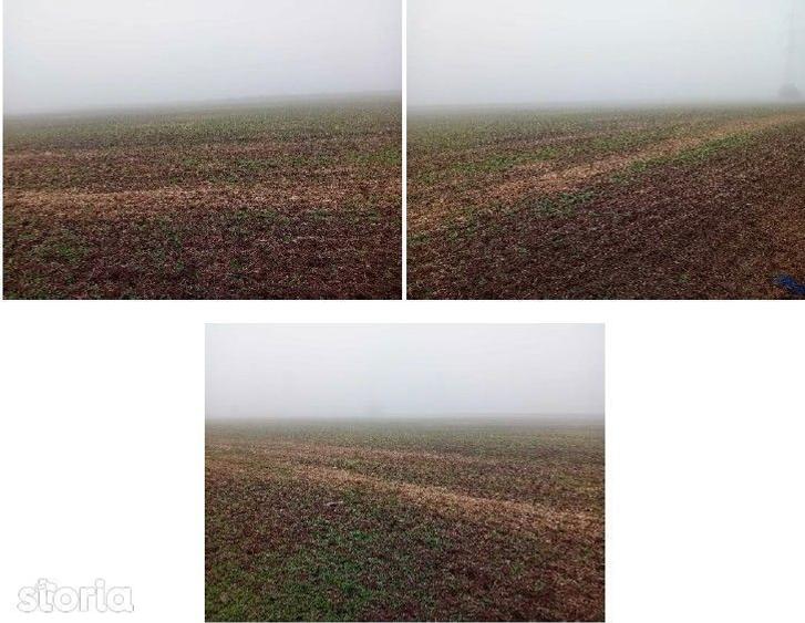 Teren Slobozia, extravilan, Arges, ID: R2980193 - 6