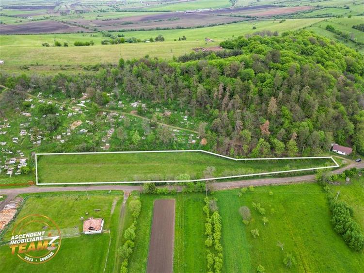 6.500 mp teren intravilan, la 10 min de orasul Covasna: Papauti - 6