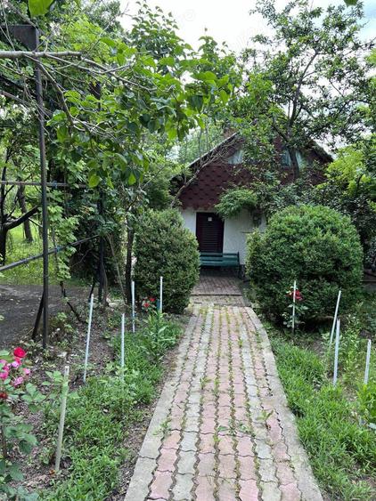 Casa de vacanta pe deal, D+P+M cu 8400 mp, teren - 10