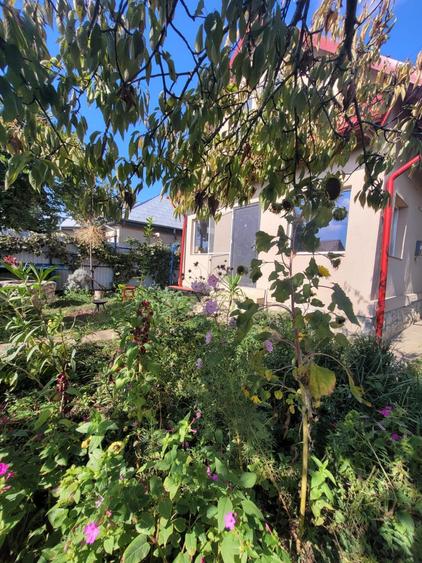 CUMPANA -P+M - TEREN 506 MP, -BCA - GARAJ - 129500 EURO - 6