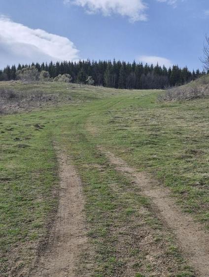 Teren intravilan la baza pădurii Valea Doftanei sat Traisteni (poduri) - 11