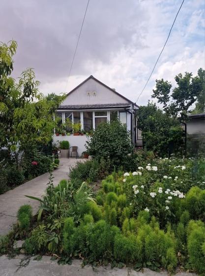 Casa cu suflet in centrul Medgidiei– gradina superba - 8