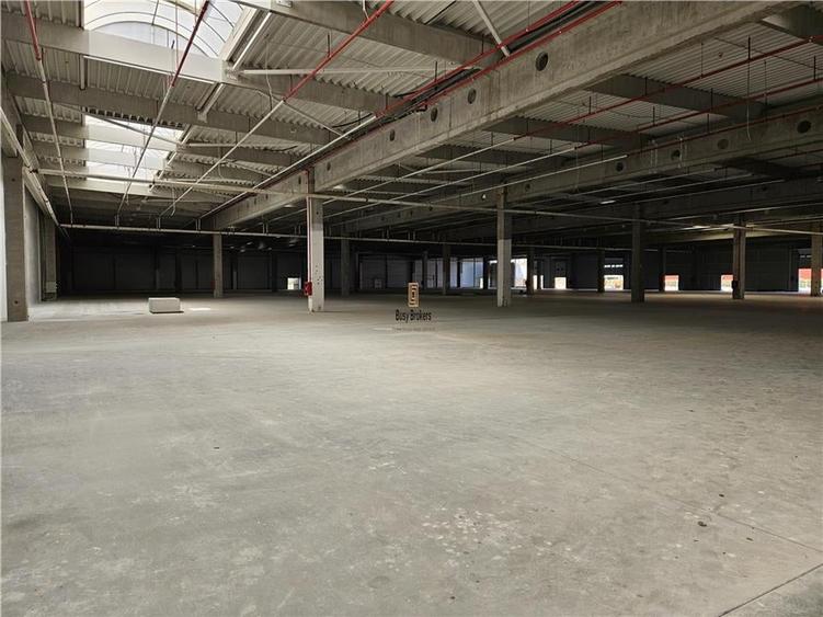 Spatiu Industrial - 7000 mp - Logistica - Productie - Depozitare - Distributie - 17