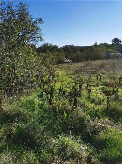 Teren de vanzare in Nifon Tulcea - 2