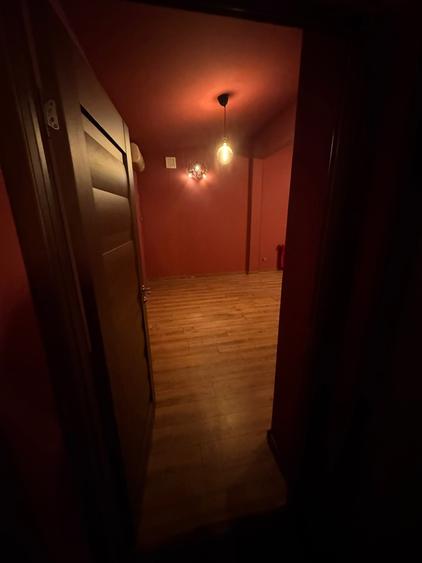 Spatiu Comercial de inchiriat, etaj 1 & 2, Bd.Camil Ressu nr. 41,Pret Negociabil - 4