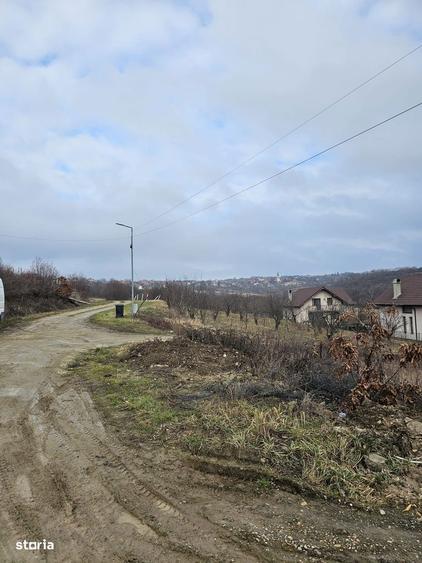 Teren construibil cu utilitati Saldabagiu de Munte 900m - 3