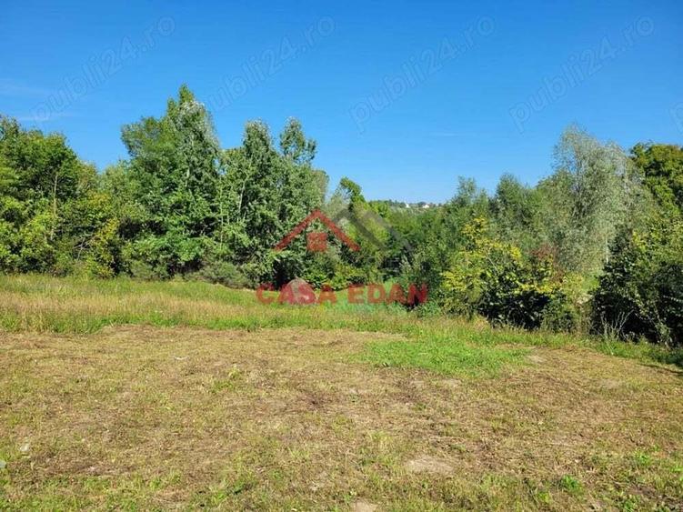 Teren intravilan in Poiana Campina 4285 mp parcelabil 11,6e - 15