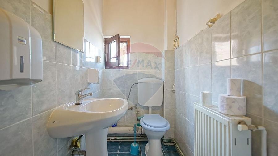 Vilă - DE INCHIRIAT - pentru diverse businessuri - 27