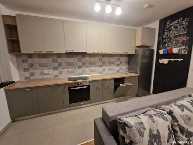 La ISHO-Locatie privilegiata in centrul orasului pe malul Raului Bega, parcare - 7