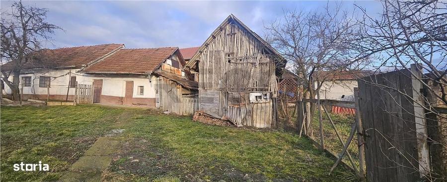 RECO. Teren intravilan de vanzare in Cetariu - 4