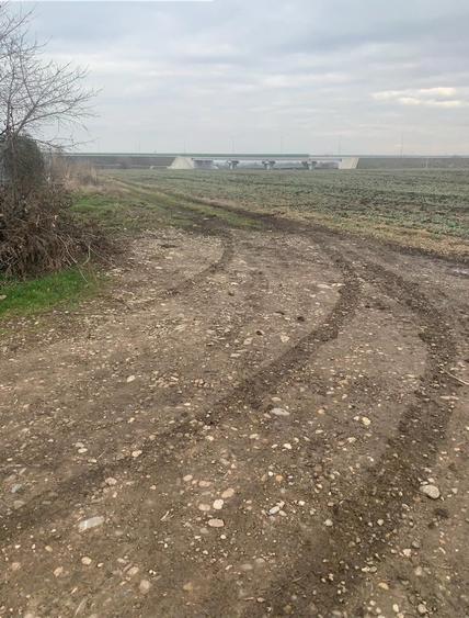 Dimieni  Vanzare Teren intravilan mixt  lotizat - 1