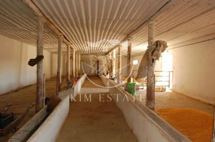 De vanzare ferma N.Balcescu - 5