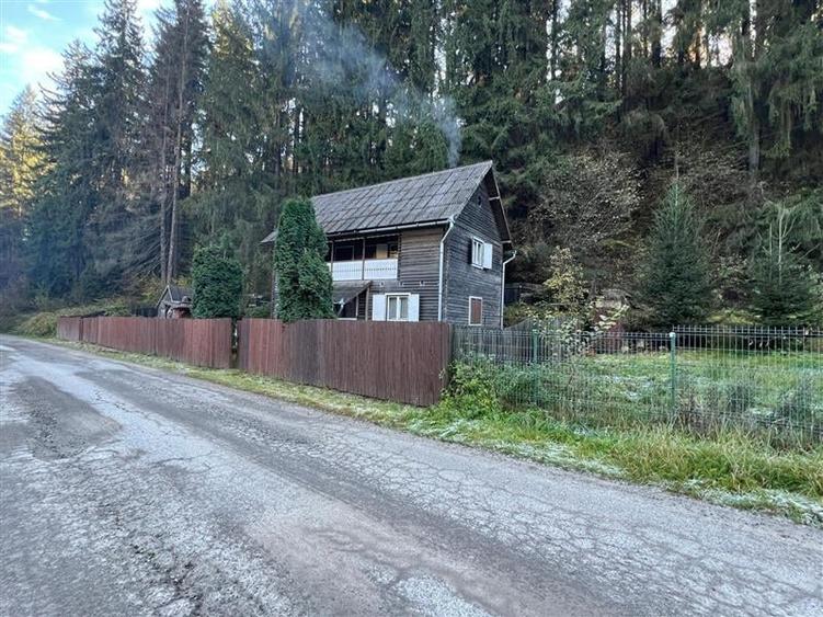 Casa de vacanta (Ciobotani, jud. Mures) - 3