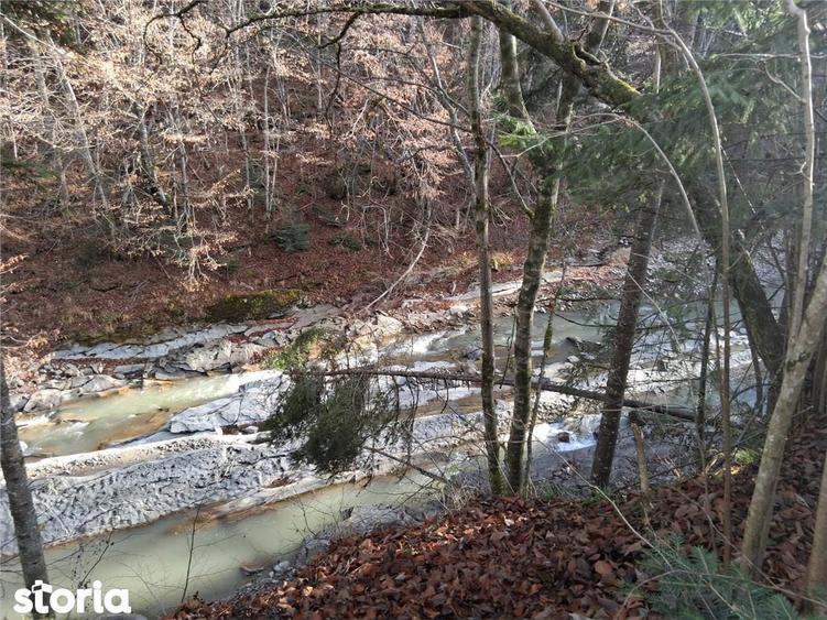 Vand teren in Brates, Neamt, cu iesire la raul Tarcau - 5