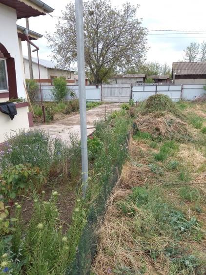 Casa de vanzare in Garbovi, jud. Ialomita - la doar 70 km de Bucuresti! - 6