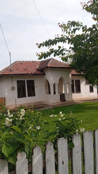 Vand casa in comuna Gradi?tea sat rasa - 4