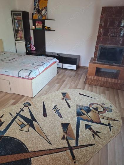 Casa de vanzare in DB, Visinesti, Urseiu - 3