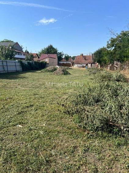 Casa cu teren generos în Timișoara