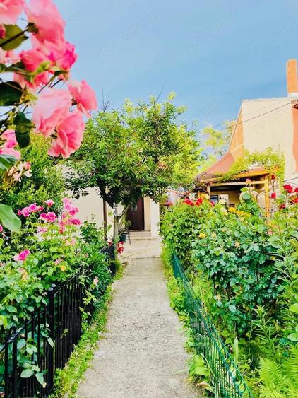 Vand casa ultracentral - 4