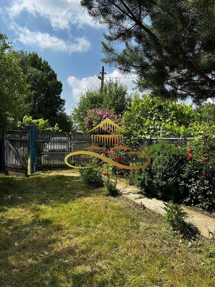 Casa batraneasca cu 2ha de teren de vanzare in sat Balaia / Bacau - 26