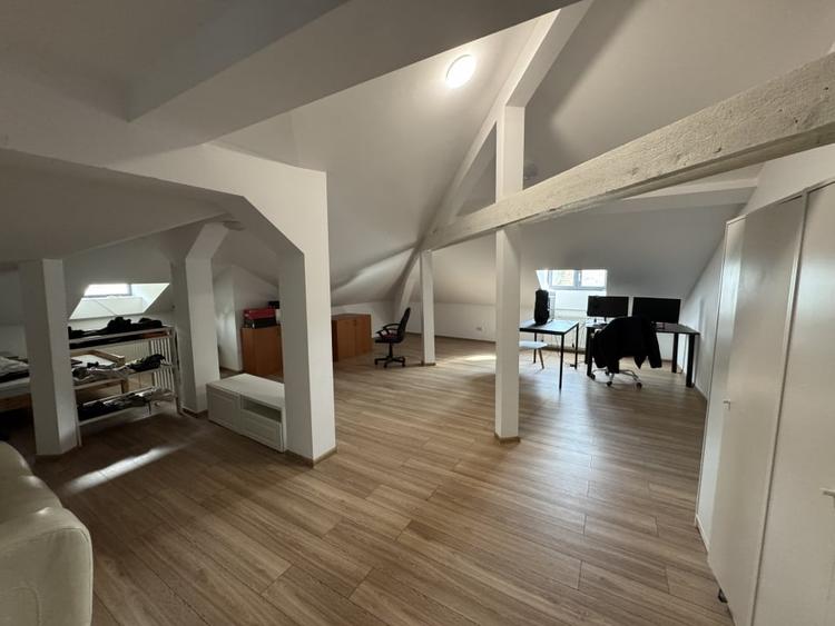 13 Septembrie  - Casa individuala - Renovata completa - Disponibila imediat - 14