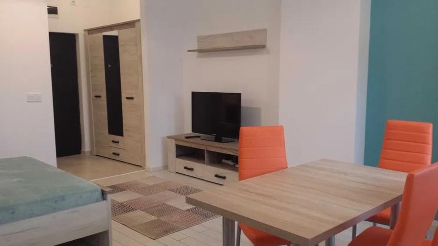 Apartament cu 1 camera, zona Tatarasi sud - 3