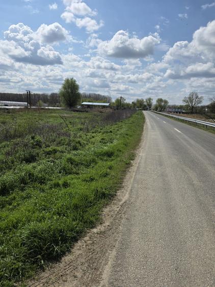 Loturi teren Zatun deschidere la sosea | langa Dunare | pozitie premium - 4