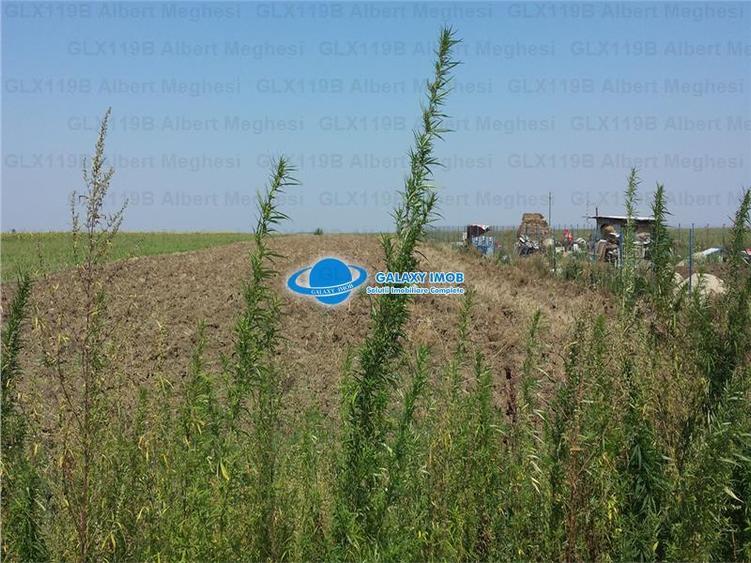 Vanzare Teren Intravilan  Herasti Giurgiu 2 HA - 5