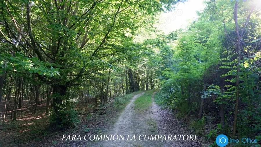 TEREN 6700 MP, INTRAVILAN LANGA PADURE - 8