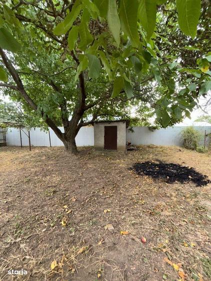 De vanzare casa parinteasca in apropiere de Roman, 23.000 euro - 3