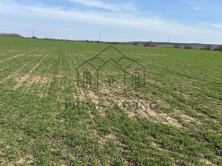 Teren pentru investiție - 3