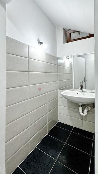 Zona Ultracentrala | Destinatie Comeriala sau Rezidentiala - 21