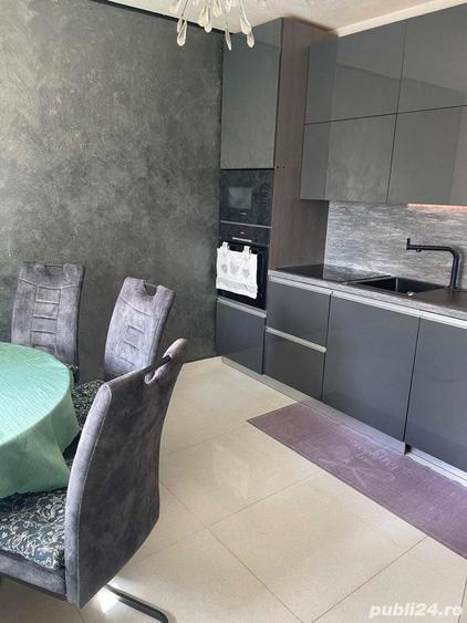 vand duplex lipovei britis scholl aradului - 5