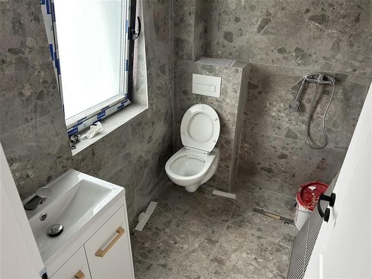 Duplex  P+1E  Mosnita Noua - 7