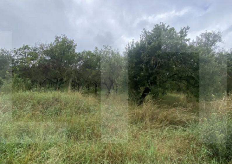 Teren cu poten?ial reziden?ial Simeria, Sfantu Gheorg - 4