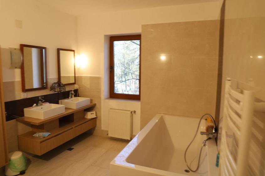 Proprietate Snagov de vanzare - 8