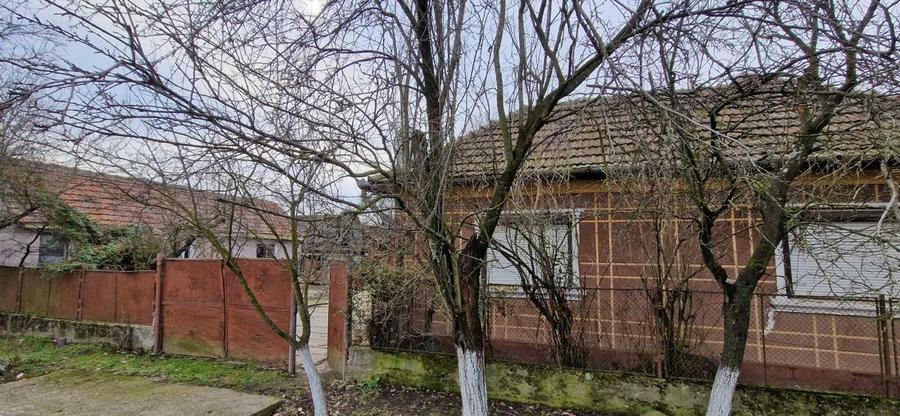 Casa + 3 hectare teren Abram, Bihor | utilitati complete | anexe + pivnite - 3