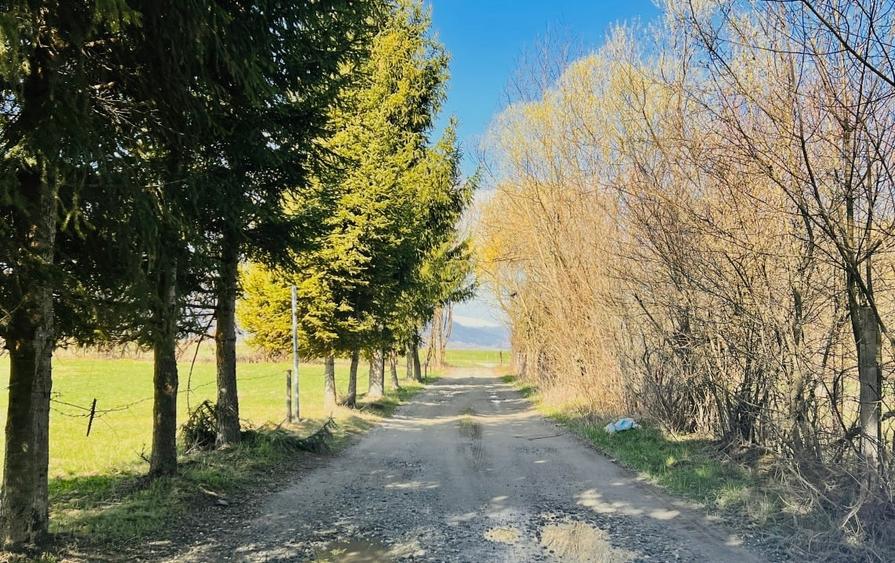 Teren intravilan Râșnov – Glejerie  5 parcele x 1000 mp  Capăt Str. Greierilor - 4