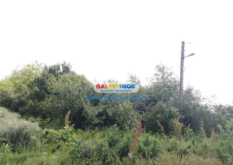 Udriste, 3 vile #537;i teren 1745 mp , deschidere 18 m - 2