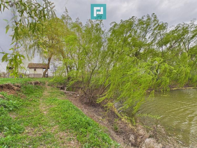 Teren 1 ha cu baltă populată – Alioș (Mașloc) - 6