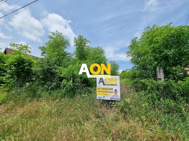 De vanzare 1700 teren intravilan toate utilitatile Oarda de Sus - 1