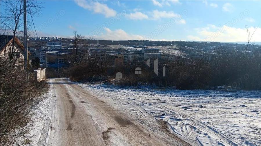 Ocazie! Visani str Castelul Grecilor TEREN 707mp intravilan toate utilitatile - 1