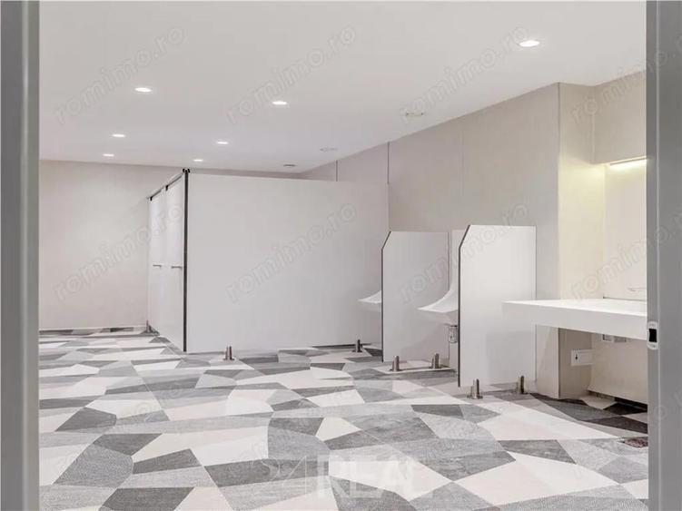 Zone 313 spatii de birouri - 5